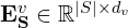  \mathbf{E}_{\mathbf{S}}^{v} \in \mathbb{R}^{|S| \times d_v} 