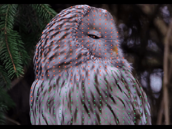 spatial-tracker-example-3 – LearnOpenCV spatial-tracker-example-3