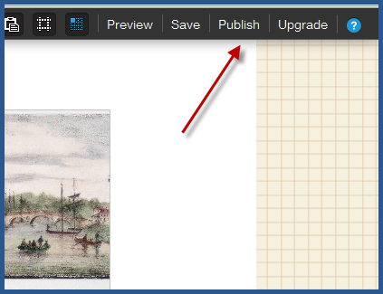 Wix - Publish
